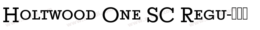 Holtwood One SC Regu字体转换
